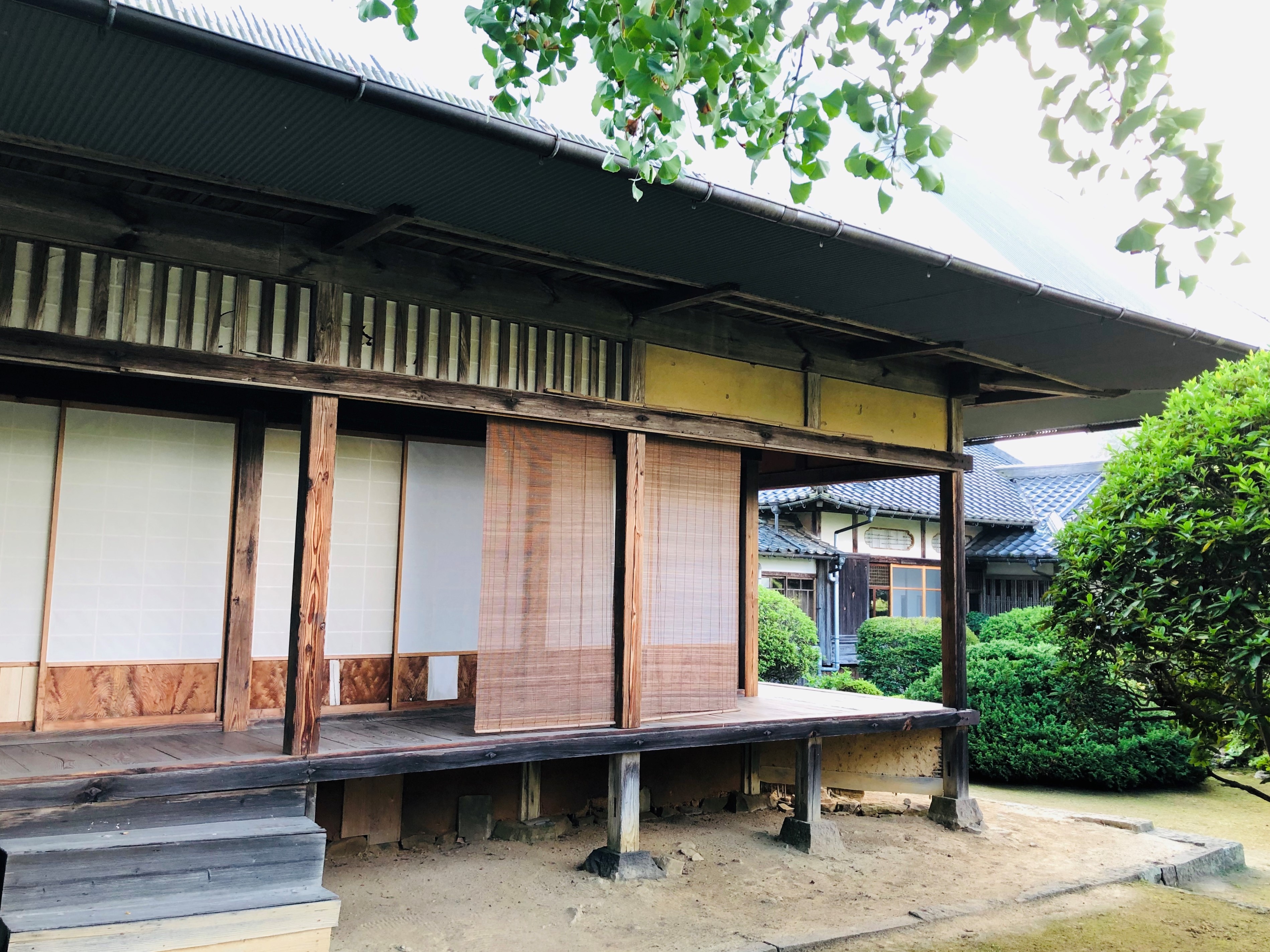 カラー診断の様子